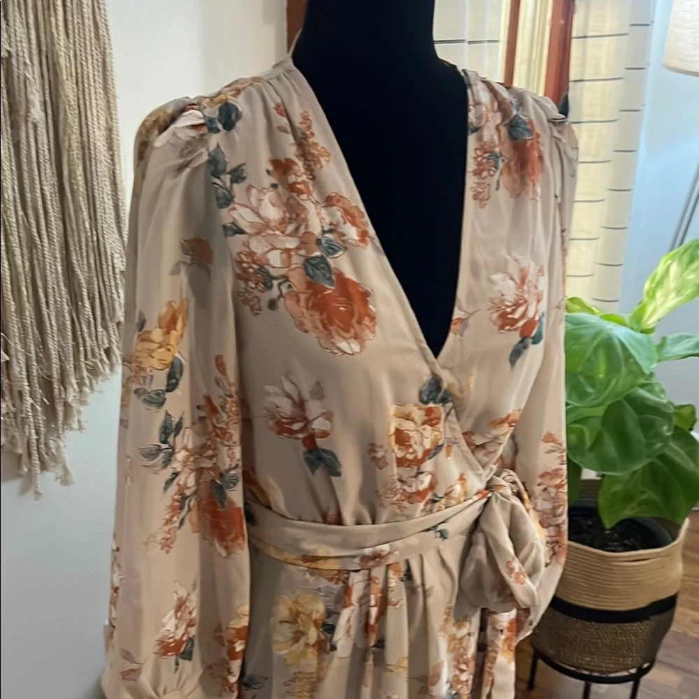Hudson Gray Beige Floral Wrap Dress NWOTSheer Long Sleeve Tie Waist Size Small